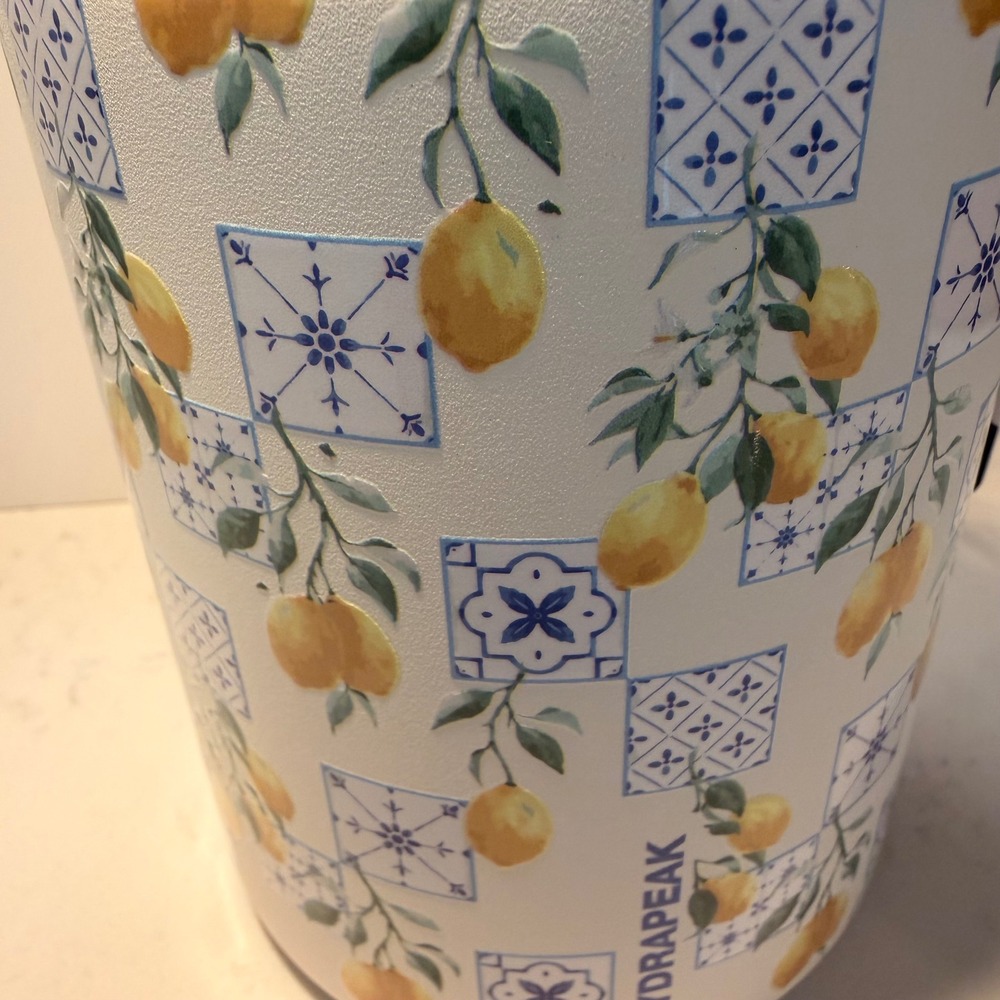 HydraPeak Insulated Food Jar 32 Oz Stainless Steel Wide Mouth Double Wall Lemon - Picture 2 of 13